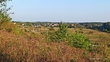 Buy a lot of land, Ukraine, Soluki, Yavorivskiy district, Lviv region, , 491 300