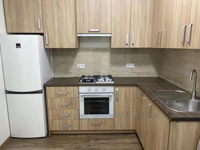 Rent an apartment, Polish suite, Snopkivska-vul, Lviv, Galickiy district, id 4552349
