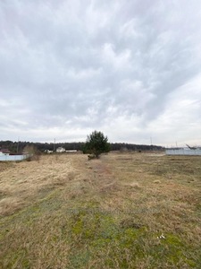 Buy a lot of land, for building, Ryasne-Rus'ke, Lvivska_miskrada district, id 4413384
