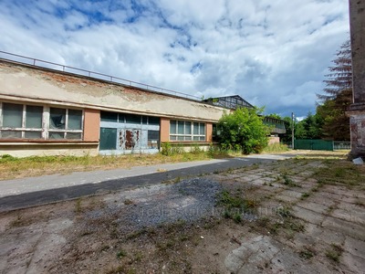 Commercial real estate for sale, Multifunction complex, Шухевича, Krakovec, Yavorivskiy district, id 4192069
