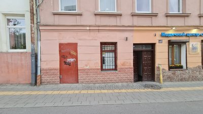 Commercial real estate for rent, Shevchenka-T-vul, Lviv, Shevchenkivskiy district, id 4501285