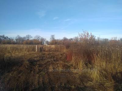 Buy a lot of land, Львівська, Soroki, Zhovkivskiy district, id 4549762