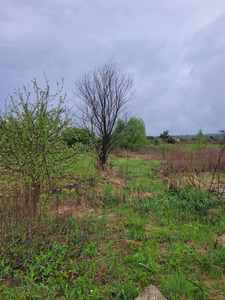 Buy a lot of land, Birki, Yavorivskiy district, id 4544732