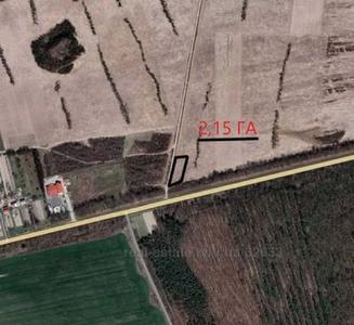 Buy a lot of land, commercial, Шевченка, Bartativ, Gorodockiy district, id 4549258