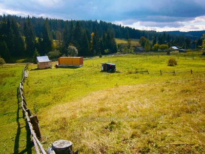 Buy a lot of land, Verkhnyachka, Skolivskiy district, id 4547174