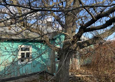 Buy a house, Polonichna, Kamyanka_Buzkiy district, id 4490988