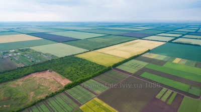 Buy a lot of land, for building, Davidiv, Pustomitivskiy district, id 4567100