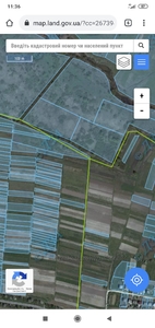 Орендувати ділянку, agricultural, Kievec, Mikolajivskiy district, id 2307444