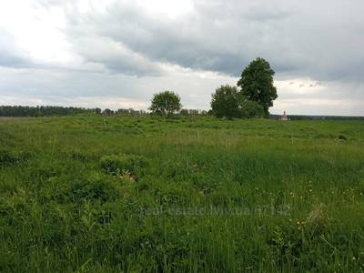 Buy a lot of land, for building, Shevchenka-T-vul, Lviv, Shevchenkivskiy district, id 4569648