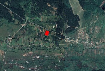 Buy a lot of land, Nakonechnoe Vtoroe, Yavorivskiy district, id 4296244