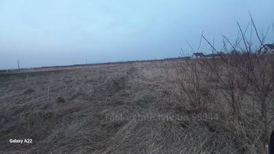 Buy a lot of land, for building, Т. Шевченка, Miklashiv, Pustomitivskiy district, id 4458749