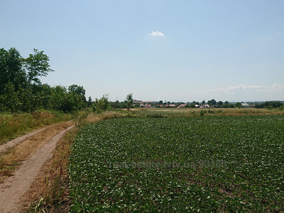 Buy a lot of land, agricultural, Миру, Kernica, Gorodockiy district, id 4478915