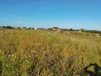 Buy a lot of land, Зелена, Davidiv, Pustomitivskiy district, id 4541675