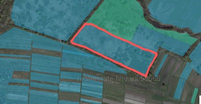 Buy a lot of land, agricultural, Шевченка, Kievec, Mikolajivskiy district, id 4221887