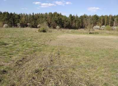 Buy a lot of land, agricultural, Lukasevicha-I-vul, Lviv, Shevchenkivskiy district, id 4423841