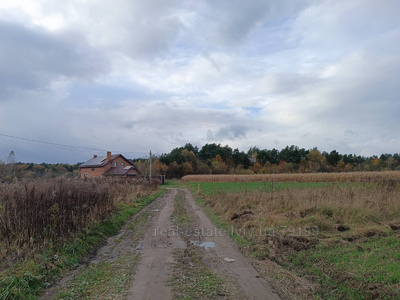 Buy a lot of land, for building, озерна, Bartativ, Gorodockiy district, id 4365816