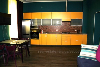 Vacation apartment, Gavrishkevicha-S-vul, 2, Lviv, Galickiy district, 2 rooms, 700 uah/day