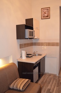 Vacation apartment, Gavrishkevicha-S-vul, 8, Lviv, Galickiy district, 1 room, 400 uah/day