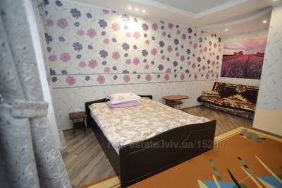Vacation apartment, привокзальна, Morshin, Striyskiy district, 1 room, 250 uah/day