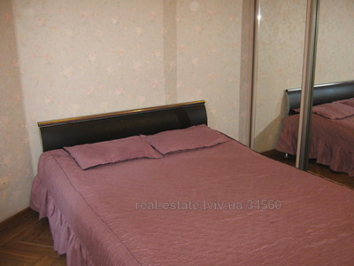 Vacation apartment, Grigorovicha-I-vul, 3, Lviv, Galickiy district, 1 room, 300 uah/day
