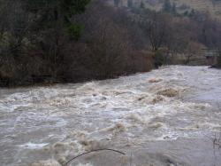 Власникам будинків, розташованих поблизу великих річок і водойм, страхові компанії відмовляються продавати поліси