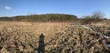 Buy a lot of land, Ukraine, Verkhnyaya Belka, Pustomitivskiy district, Lviv region, , 1 264 000