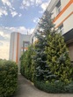 Commercial real estate for sale, st. Lvivska, Ukraine, Ivano Frankovo, Yavorivskiy district, Lviv region, 1850 кв.м, 33 900