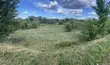 Buy a lot of land, Ukraine, Miloshevichi, Pustomitivskiy district, Lviv region, , 1 035 000