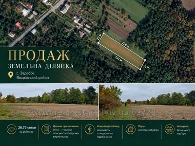 Buy a lot of land, agricultural, Центральна, Zadebri, Yavorivskiy district, id 5923508