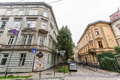 Buy an apartment, Austrian luxury, Krushelnickoyi-S-vul, 25, Lviv, Galickiy district, id 4522531