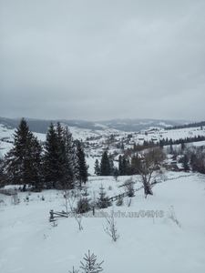 Buy a lot of land, agricultural, Тараса Шевченка, Volosyanka, Skolivskiy district, id 4333746