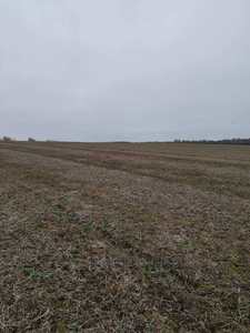 Buy a lot of land, for building, Glukhovichi, Pustomitivskiy district, id 4452577