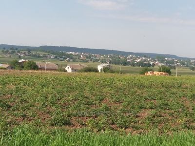 Buy a lot of land, for building, Bolshoy Doroshiv, Zhovkivskiy district, id 1275314