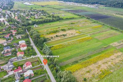 Buy a lot of land, agricultural, Шевченка, Chishki, Pustomitivskiy district, id 4503892