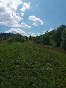 Buy a lot of land, agricultural, Шевченка, Rosokhach, Skolivskiy district, id 2443998