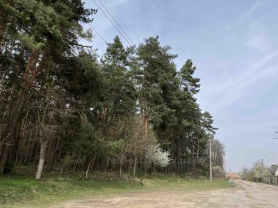 Buy a lot of land, gardening, Rudne, Lvivska_miskrada district, id 4501431