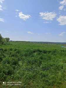 Buy a lot of land, Zvenigorod, Pustomitivskiy district, id 4533233