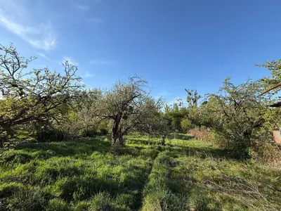 Купить участок, под застройку, Старознесенська ул., Львов, Лычаковский район, id 5911571