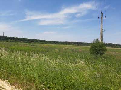 Buy a lot of land, Sokilniki, Pustomitivskiy district, id 4534316