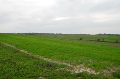 Buy a lot of land, for building, Staroe Selo, Pustomitivskiy district, id 4562515