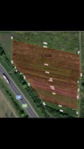 Buy a lot of land, commercial, Вулиця, Gamaleevka, Pustomitivskiy district, id 3732953