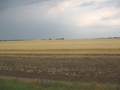 Buy a lot of land, Basovka, Pustomitivskiy district, id 4585304
