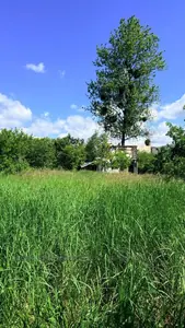 Купити ділянку, садівництво, Центральна, Солонка, Пустомитівський район, id 5918527