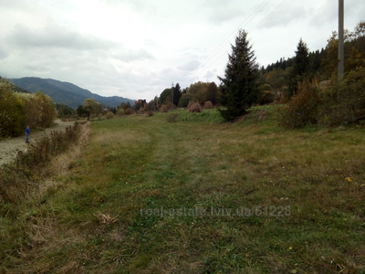 Buy a lot of land, agricultural, Korostiv, Skolivskiy district, id 2336199