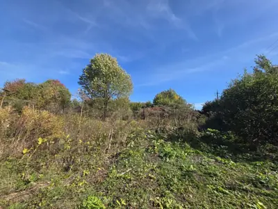 Купити ділянку, комерційного, Великополе, Яворівський район, id 5923574