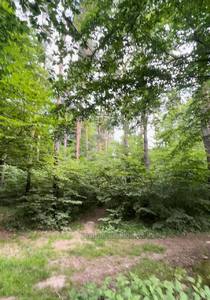 Buy a lot of land, for building, Zimna Voda, Pustomitivskiy district, id 4416809