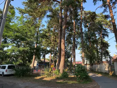 Купити ділянку, Смолиста, Брюховичі, Львівська міськрада район, id 5920969