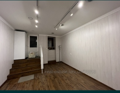 Commercial real estate for rent, Non-residential premises, Lisenka-M-vul, Lviv, Galickiy district, id 4505347