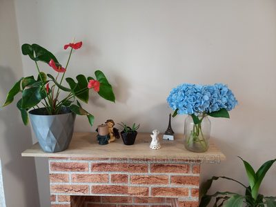 Купити квартиру, Любінська вул., Львів, Залізничний район, id 5907184