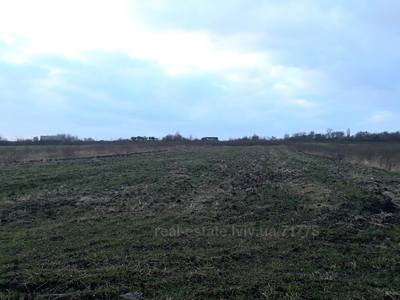 Buy a lot of land, Yampol, Pustomitivskiy district, id 4602443